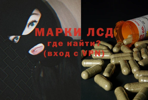 марки nbome Каменногорск