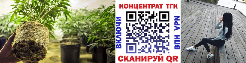 Дистиллят ТГК концентрат  Купить  Фокино 